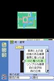 RPG �ĥ����� DS(�̾���)