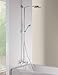 hansgrohe 27146001 Raindance Showerpipe Tub/Shower, Chrome