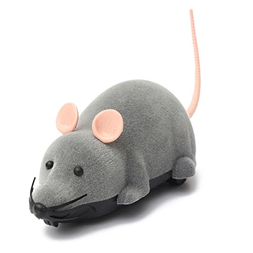 Remote Control Mouse Tricky Plastic Flocking Nigeria Ubuy