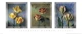 Jim Frankoski - Flower Studies I Size 32x13.5 MUSEUM WRAP CANVAS Print With Added Heavy BRUSHSTROKES Jim Frankoski 32x14 Jim Frankoski - Flower Studies I Size 32x13.5 MUSEUM WRAP CANVAS Print With Added Heavy BRUSHSTROKES Jim Frankoski 32x14