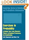 Exercises in Probability: A Guided Tour from Measure Theory to Random Processes, via Conditioning (Cambridge Series in Statistical and Probabilistic Mathematics)