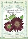 Chocolate Cherry Ornamental Sunflower Seeds
