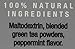 Stash Powdered Green Iced Tea Mint 10 Count (packaging may vary) Powdered Green Tea Packets for Instant Iced Tea, Mixes Easily into Bottled Water or Tap Water, 10 Calories per Serving