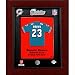 Ronnie Brown - Miami Dolphins NFL Limited Edition Original Mini Jersey