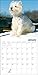 2016 Westies Calendar