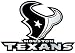 Houston Texans NFL Silver Auto Emblem