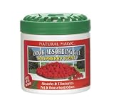 DEODORIZER RASBRY GEL 14