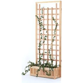 All Things Cedar PL30-Set 30 Window Box with Trellis