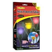 Garden Creations JB5431 S/3 Solar Powered Tulips, 3-Pack