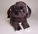 Stuffed Mastiff