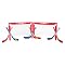 Franklin NHL Set of 2 Mini Hockey Goals