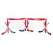 Sporting Goods : Franklin NHL Set of 2 Mini Hockey Goals