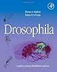 Drosophila: A Guide to Species Identification and Use