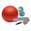 Gaiam Fashion BalanceBall Kit