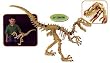 Skin Dinosaur Velociraptor