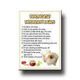 Pekingese Property Laws Fridge Magnet