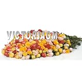 14 or 16 Dozens Assorted Color Roses in Wholesale Price with Greens and Fillers