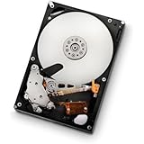 Constellation ES ST1000NM0011 1 TB Internal Hard Drive