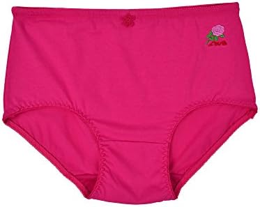 Alfa Global Women's Plus Size Ultra Comfortable Brief Pink 4XL
