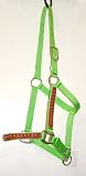 NEW Nylon Halter with Leather Overlay & Studs