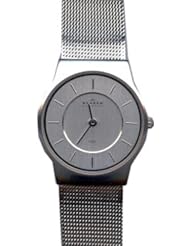 Skagen Womens 233SSS Silver Stainless-Steel Analog Quartz Watch with Silver Dial