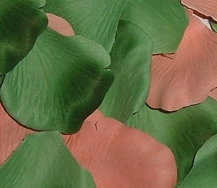 200 Silk Rose Petals Wedding Favors-Multi Colors-Peach & Green