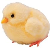 夢ひよこ