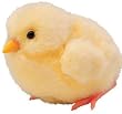 夢ひよこ