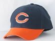 Youth Chicago Bears Basic Logo Brushed cap