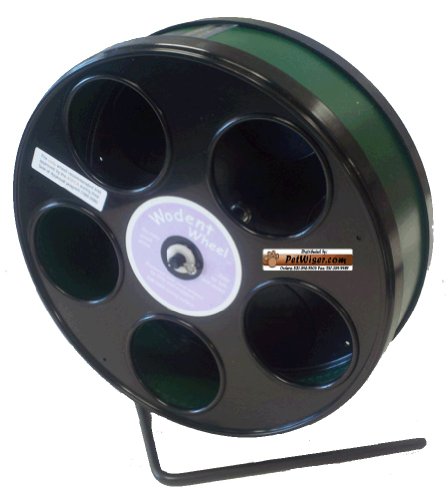 Rodent - Semi-Enclosed Exercise Wodent Wheel 'Jr.' 8