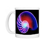 Coloured X-ray of the Nautilus shell Photo Mugs
