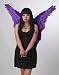 Purple Costume Feather Wings Adult Butterfly Angel Fairy Macaw Tinkerbell Cosplay