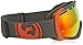 Dragon Alliance Rogue Snow Goggles