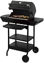 Dimplex EBQ-2007 Electric Outdoor Grill