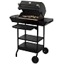 Dimplex EBQ-2007 Electric Outdoor Grill