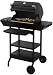 Save $50 on the Dimplex EBQ-2007 Electric Grill