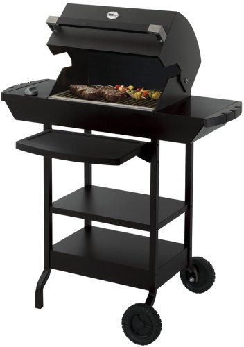 Dimplex EBQ-2007 Electric Outdoor Grill
