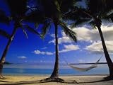 Palms and Hammock, Aitutaki, Cook Islands, Palm Trees Photographic Poster Print by Walter Bibikow, 30x40