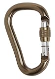 Black Diamond RockLock Screwgate Locking Carabiner: Mocha