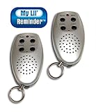 Two! Lil Reminders Memory Device Keychains with Batteries