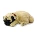 pug32 - Perfect Petzzz Pug Breathable Puppy Bundle Pet