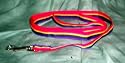 1/2" wide Pride Dog Leash