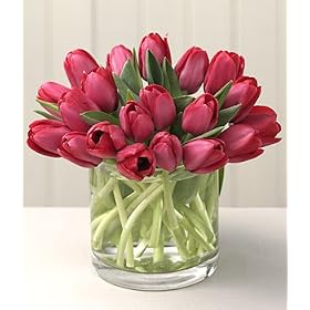 Valentine's Day Flowers - 20 Short and Sweet Red Tulips with Vase