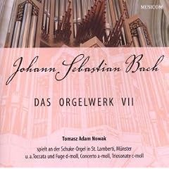 Das Orgelwerk VII