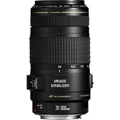 Canon EF 70-300mm 1:4,0-5,6 IS USM  Objektiv (58 mm Filtergewinde)