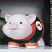 Search : Miami Dolphins Piggy Bank