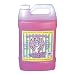 HOLY COW INC APG2 ALL-PURPOSE CLEANER Pack of 2