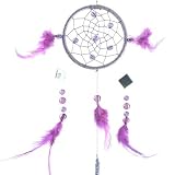 Outdoor Living : Large Dreamcatcher Chime Purple/Cerise