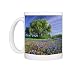 Photo Mugs of Live Oak a Texas from Danita Delimont