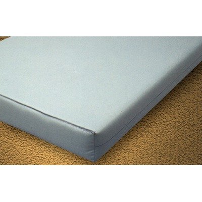Institutional Foam Mattress Size: 84
